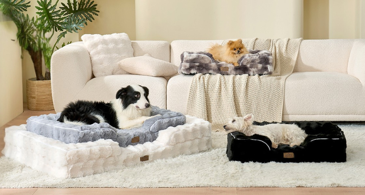 Holiday Gift Ideas for Dog Lovers and Their Pets