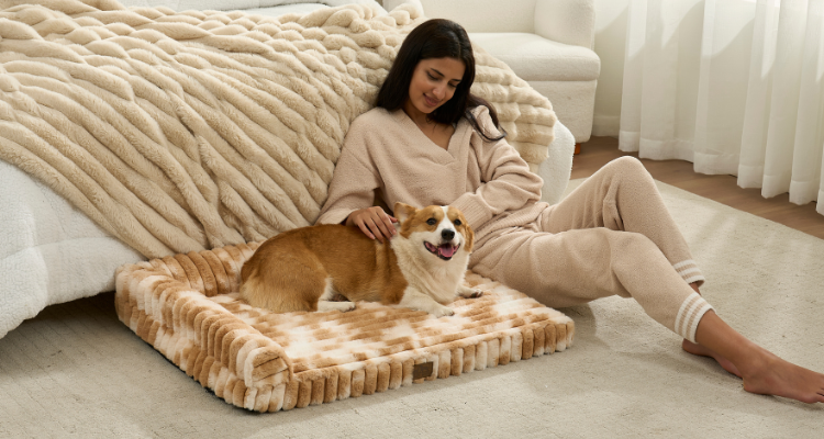 How to Make a Dog Bed More Comfortable in Winter