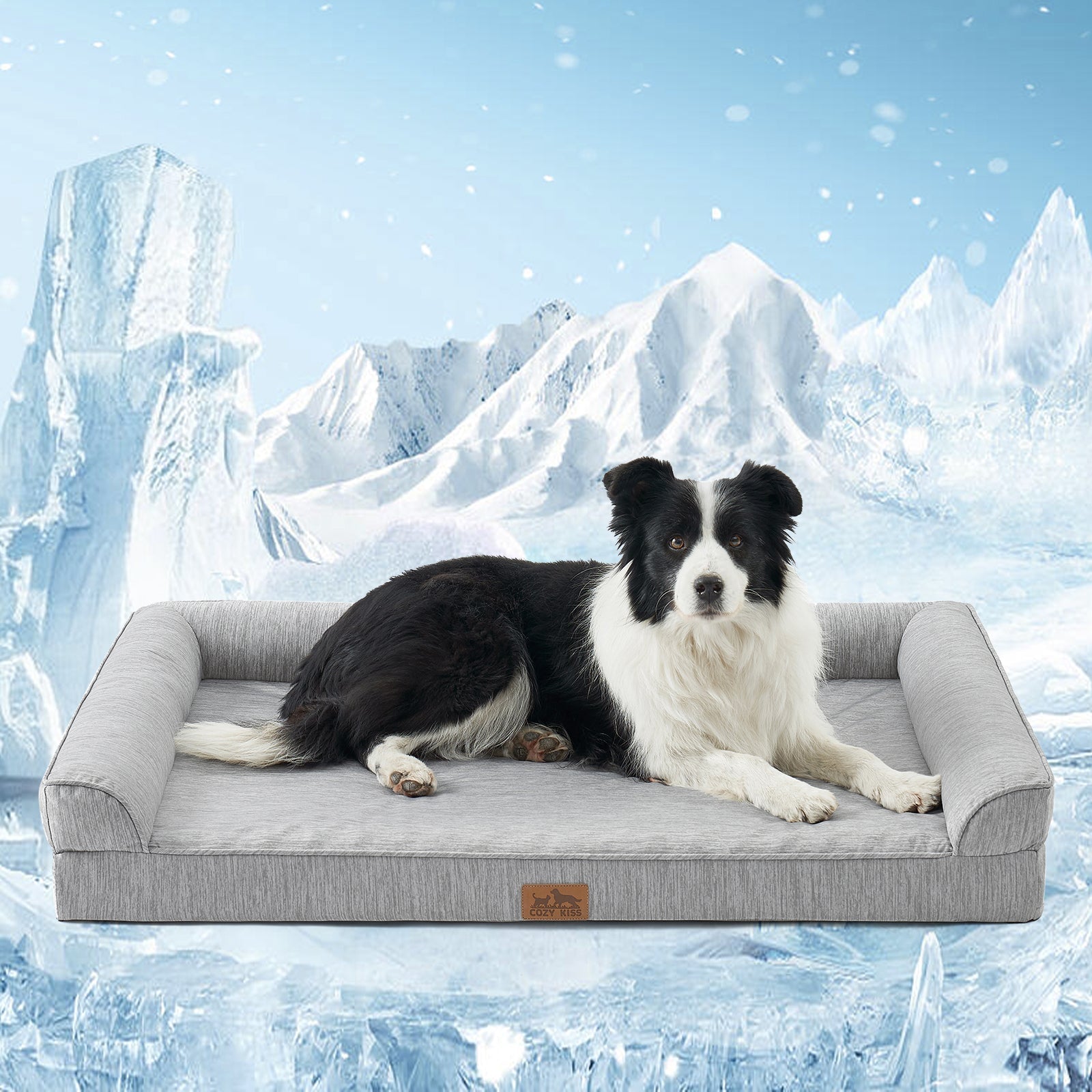 Dog lying on Cozy Kiss grey pet bed with a white background #color_Grey