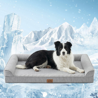 Dog lying on Cozy Kiss grey pet bed with a white background #color_Grey