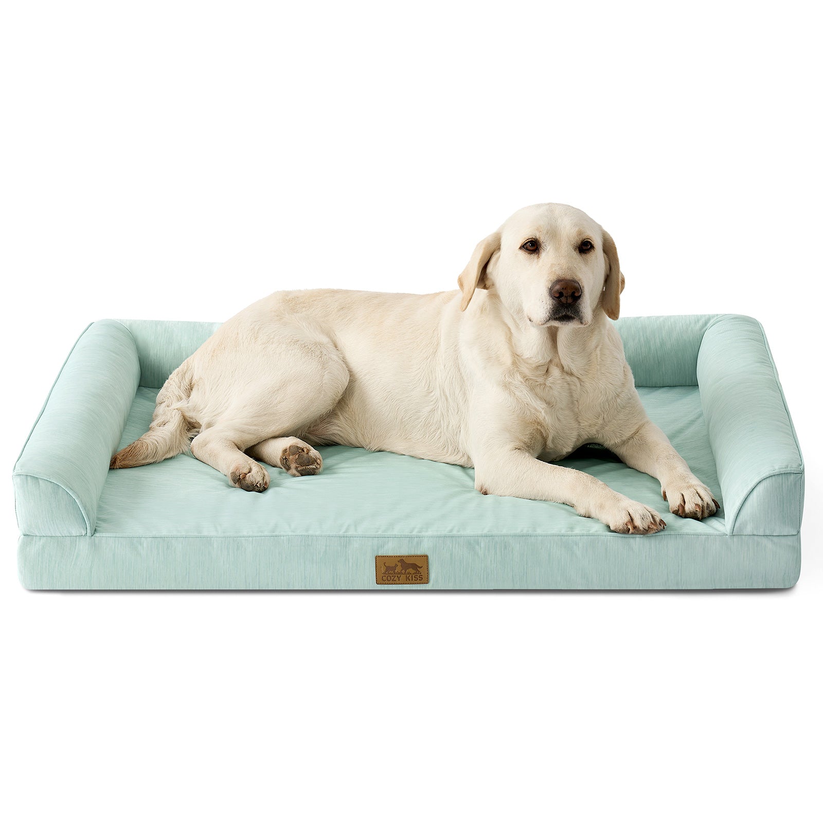 Dog lying on Cozy Kiss sage green pet bed with a white background#color_Sage Green