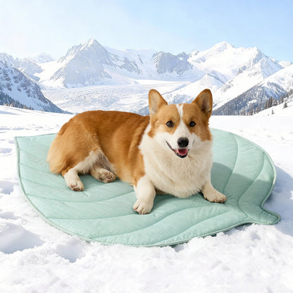 Dog lying on Cozy Kiss green mat in the snow with mountains in the background #color_Green