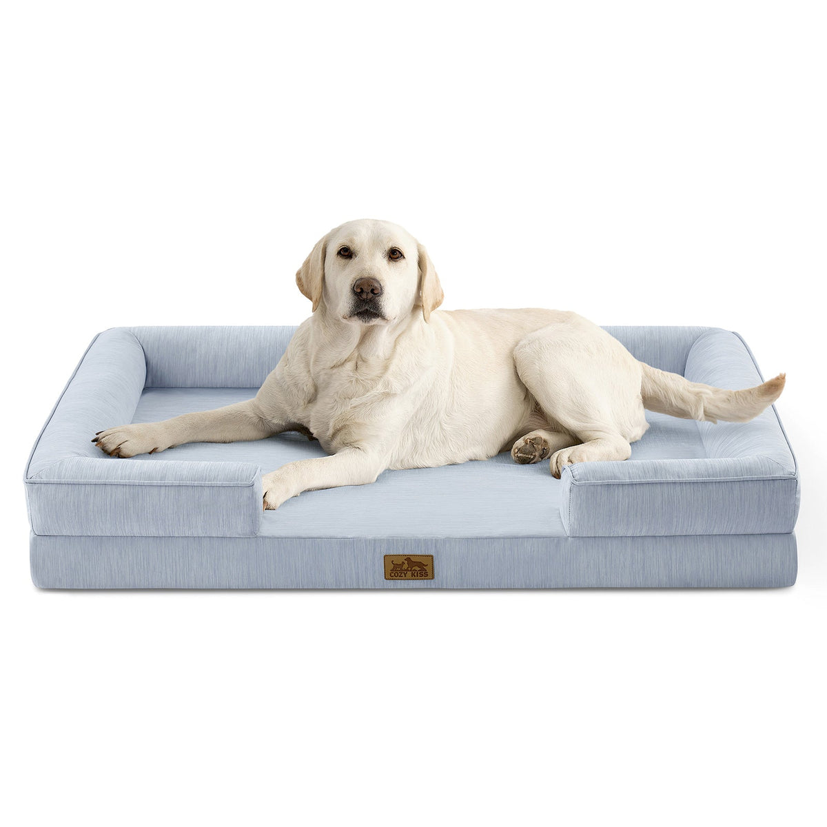 Dog lying on a blue pet bed with a white background