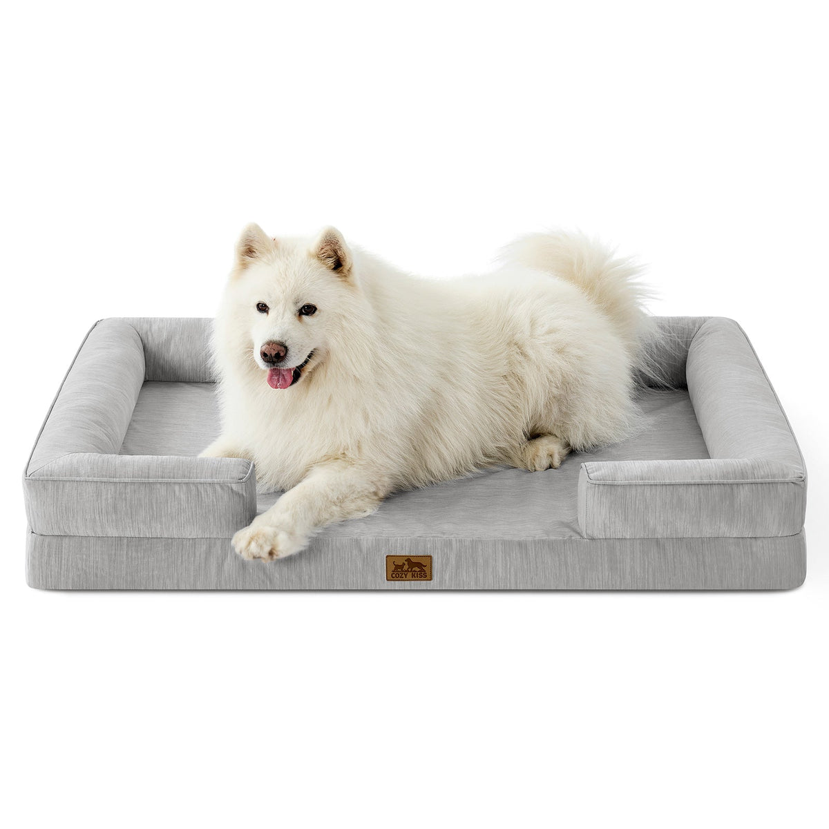 White dog lying on a gray pet bed with a white background