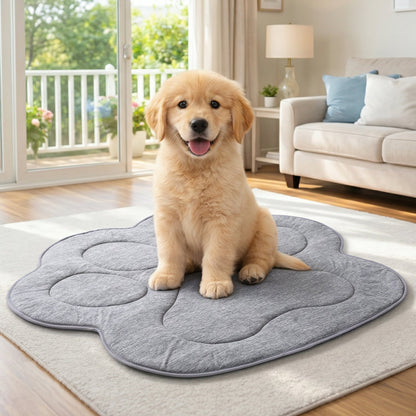 Puppy sitting on Cozy Kiss cloud-shaped mat in a living room.#color_Dark Grey