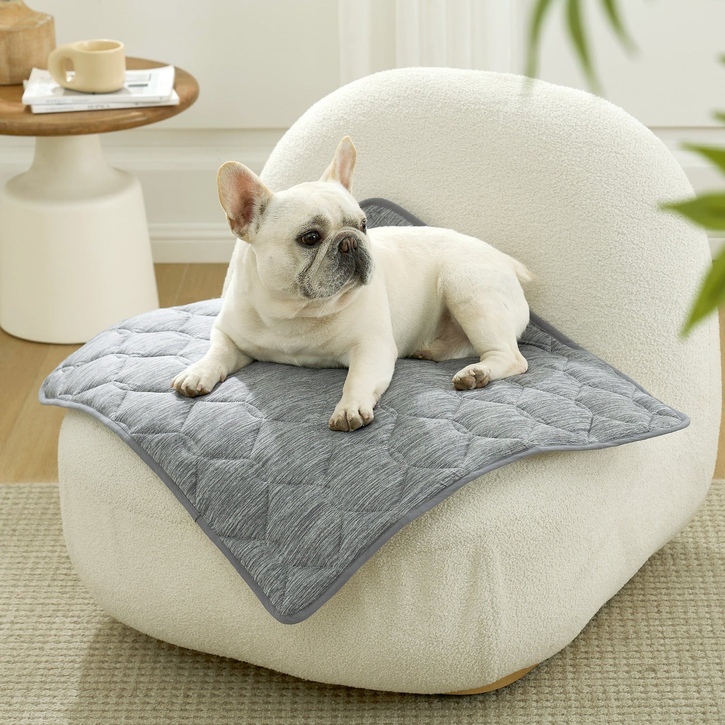 Dog lying on Cozy Kiss grey cooling pet mat on a white chair in a cozy room.#Color_Dark Grey
