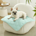 Dog lying on Cozy Kiss green pet mat on sofa.