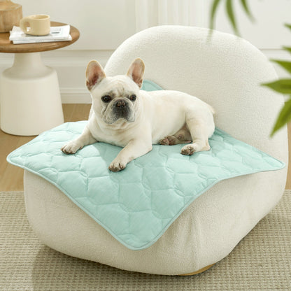 Dog lying on Cozy Kiss green pet mat on sofa.#Color_Sage Green