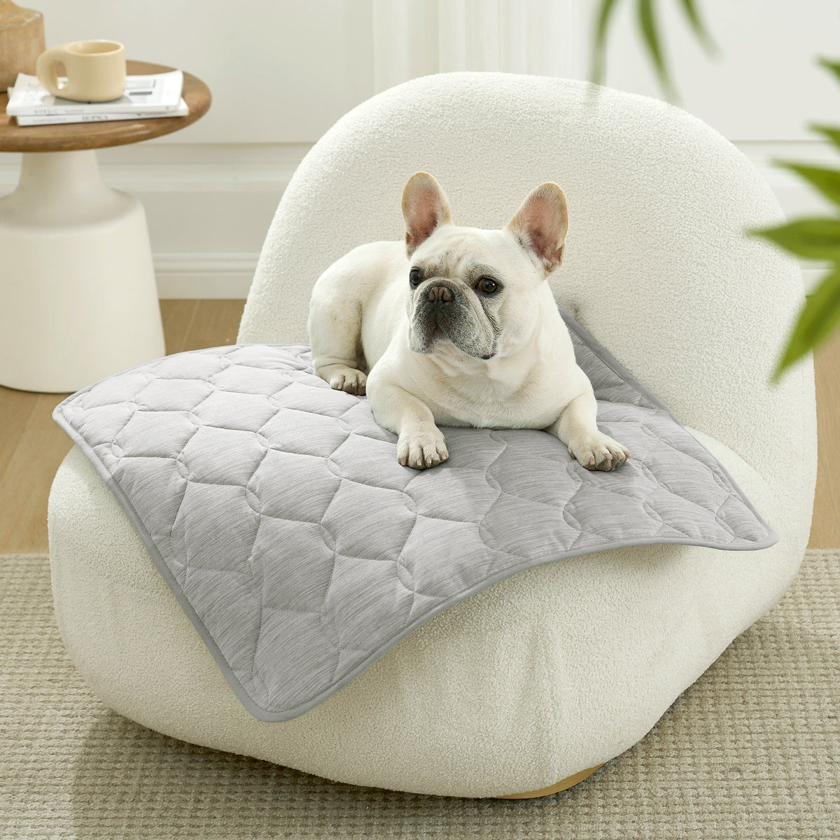 Dog lying on a gray cooling pet mat on a white chair in a cozy room.