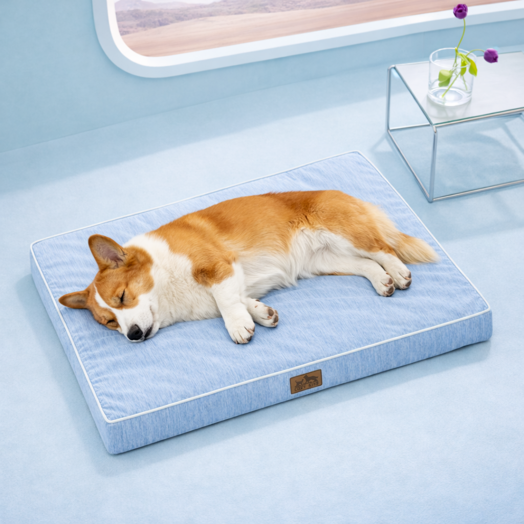 Dog sleeping on a gray cooling pet bed in a light blue room with a window in the background.