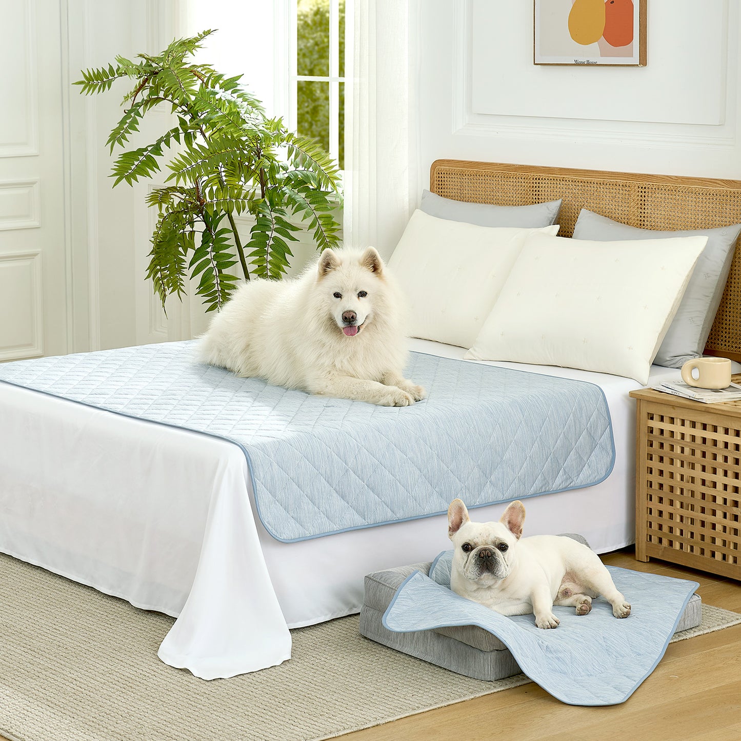 Cozy Kiss Diamond-Quilted Leakproof Cooling Couch Cover on bed with a dog sitting on it #color_Sky Blue