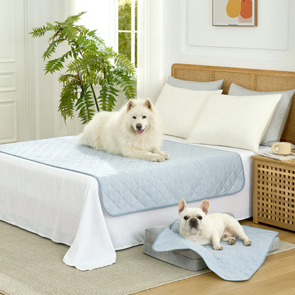 Cozy Kiss Diamond-Quilted Leakproof Cooling Couch Cover on bed with a dog sitting on it #color_Sky Blue