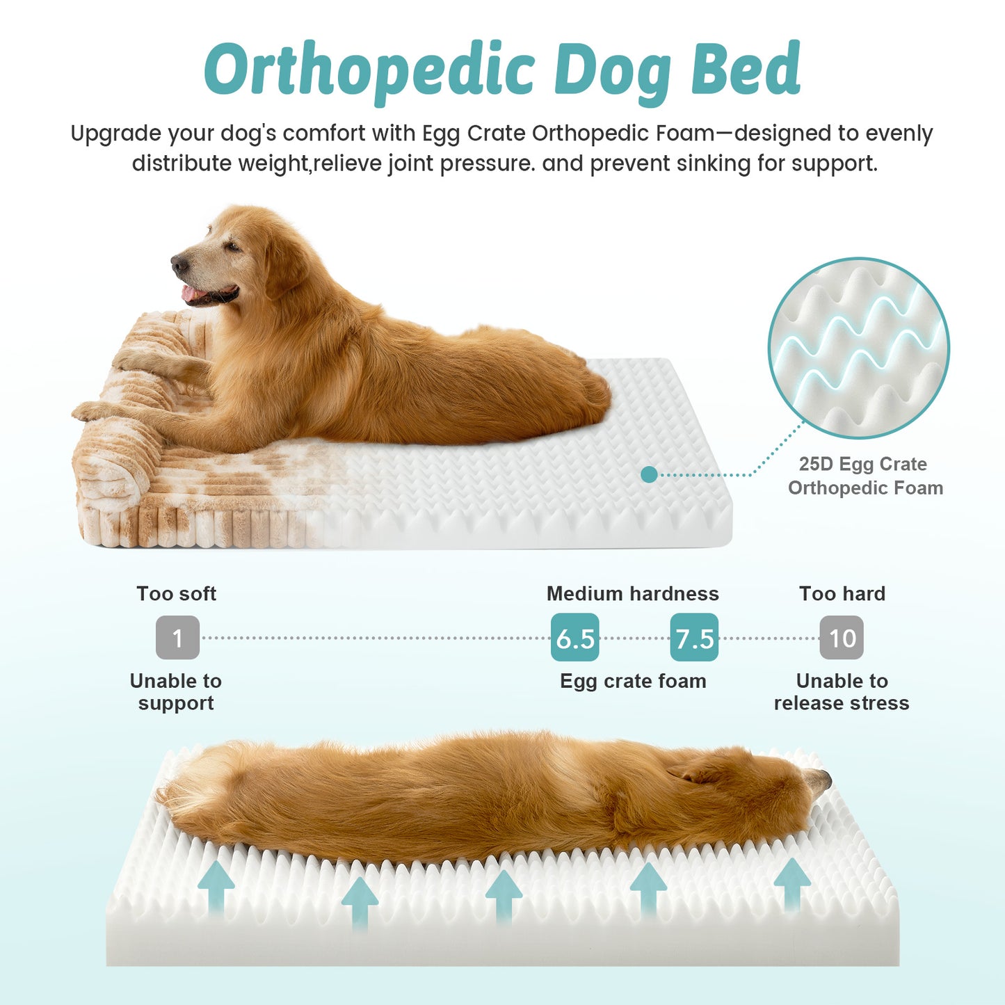 Use and cleaning guide for Cozy Kiss Striped Faux U-Shaped Washable Dog Bed with washable cover.