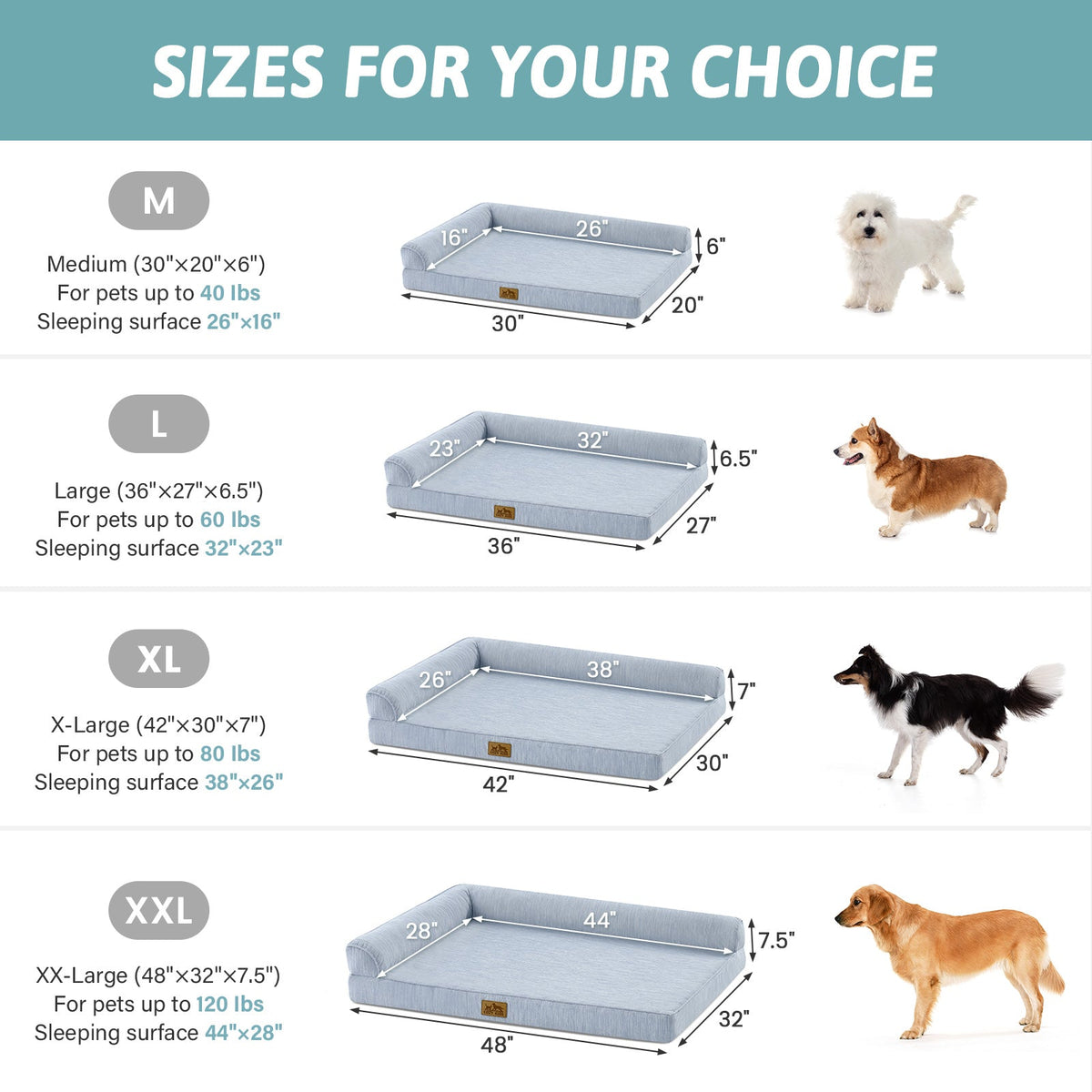 Dog bed size chart with measurements and dog illustrations for different sizes.