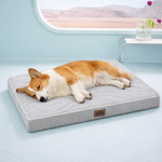 Dog sleeping on a gray cooling pet bed in a light blue room with a window in the background.