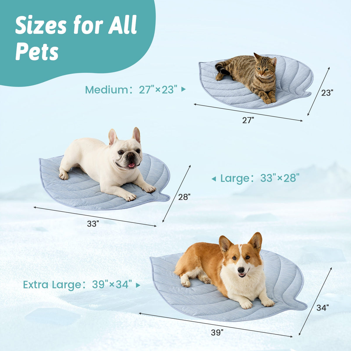 Pet beds of different sizes with measurements for dogs and a cat. 