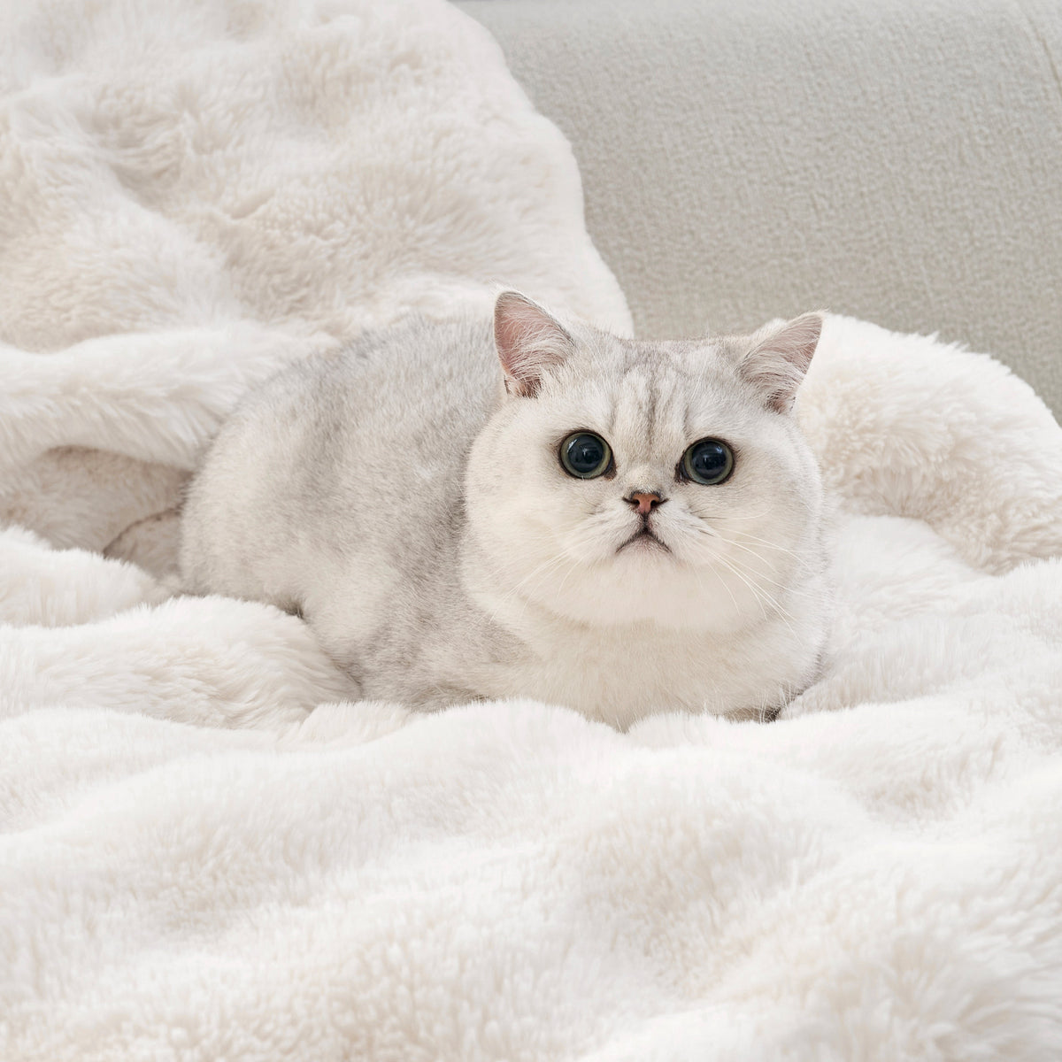 Cozy Kiss Fluffy Soft Bubble Faux Fur Couch Cover plush faux fur pet blanket for sofa #color_Cream