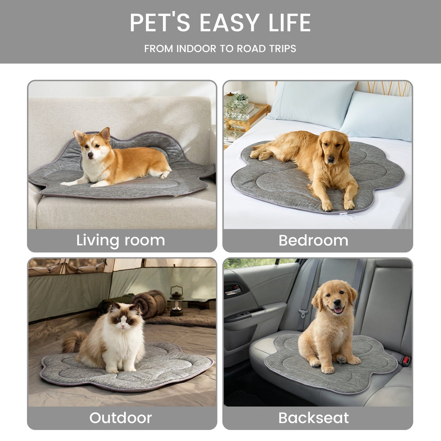 Dog using Cozy Kiss pet mat in various settings including living room, bedroom, outdoor, and car.#color_Dark Grey