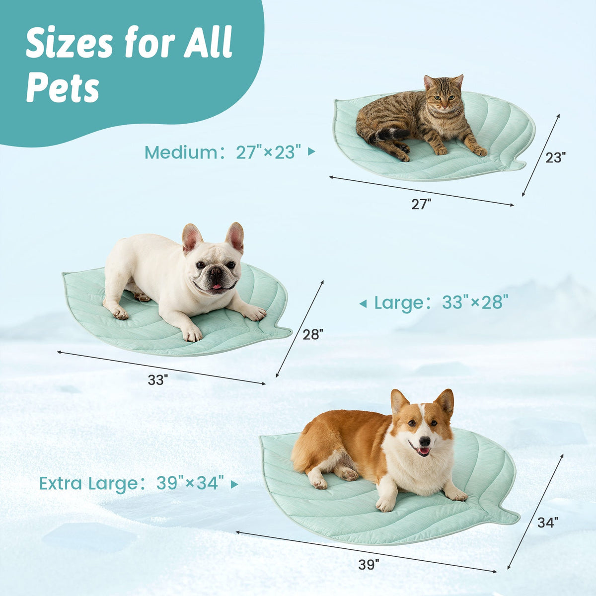 Pet beds of different sizes with measurements for dogs and cats. 