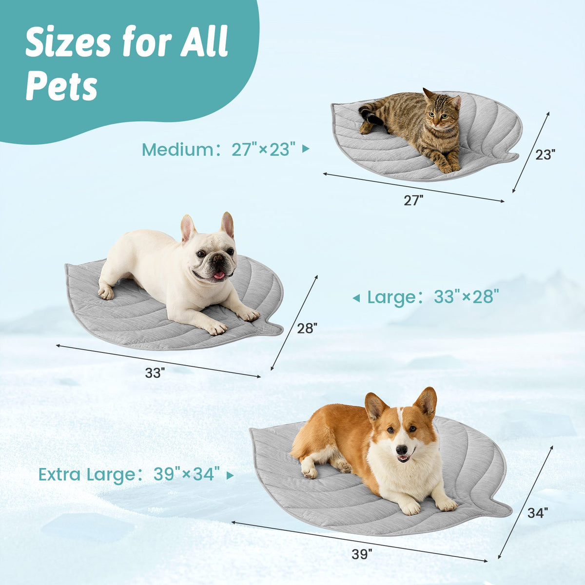 Pet beds of different sizes with measurements on a light blue background 
