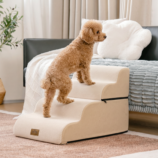 Dog standing on Cozy Kiss 3-step foldable Curved Pet Stairs in a living room. #color_Beige