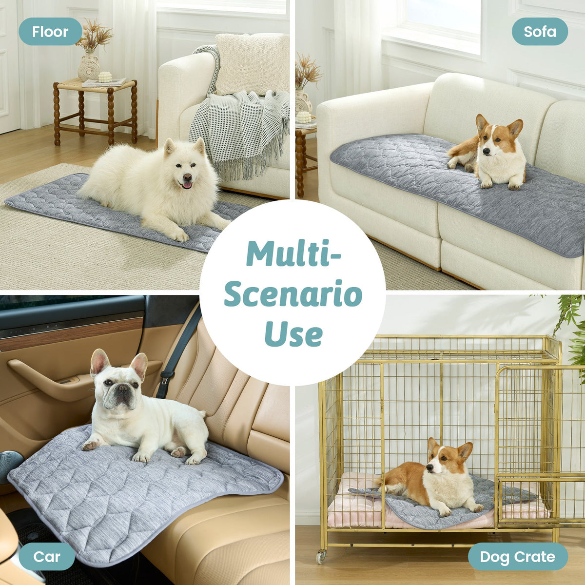 Dog using a pet mat on various surfaces including floor, sofa, car, and dog crate.