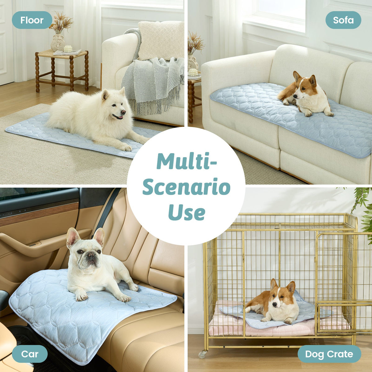 Dog using a pet mat on various surfaces including floor, sofa, car, and dog crate.