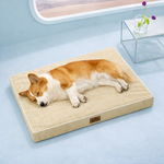 Dog sleeping on a gray cooling pet bed in a light blue room with a window in the background.