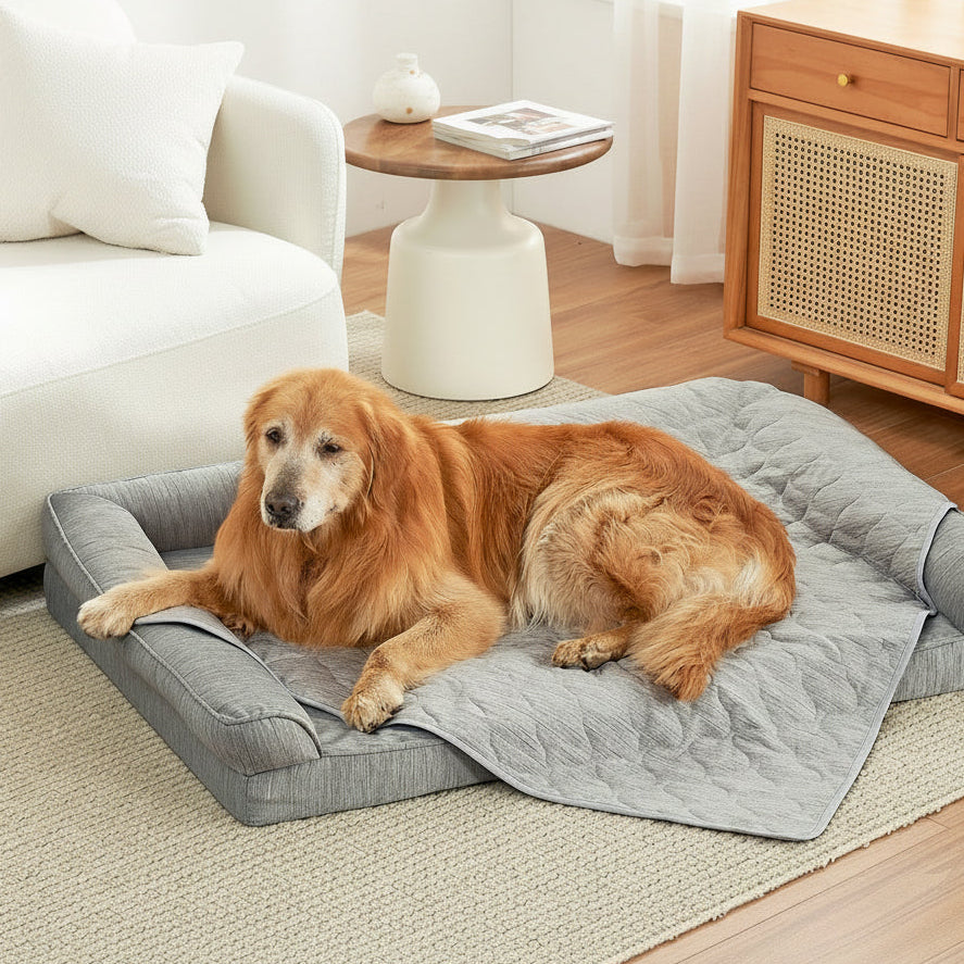 Cozy Kiss pet cooling blanket front view with a dog sitting on it. 