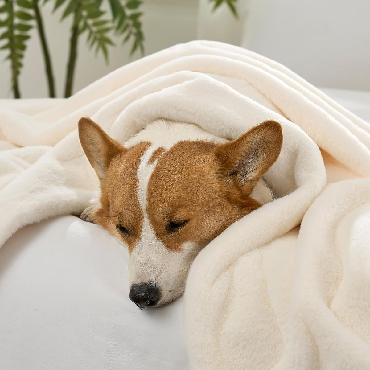 Dog snuggled under a Cozy Kiss leakproof faux fur pet blanket for a nap. 