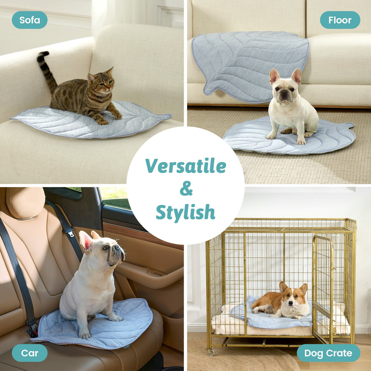 Collage of pet mats used on various surfaces including a sofa, floor, car, and dog crate. 
