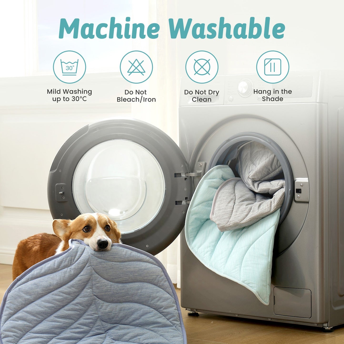 Dog lying on a machine washable pet bed with washing machine in the background #color_Grey