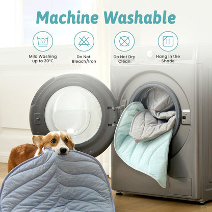 Dog lying on a machine washable pet bed with washing machine in the background #color_Sky Blue