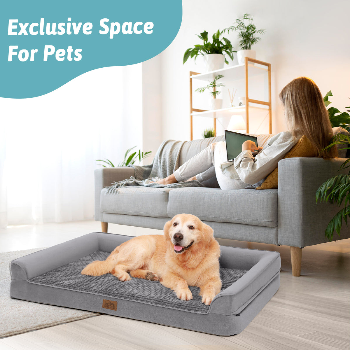Dog relaxing on a Cozy Kiss grey orthopedic dog bed beside its owner on the sofa, an exclusive space for pets