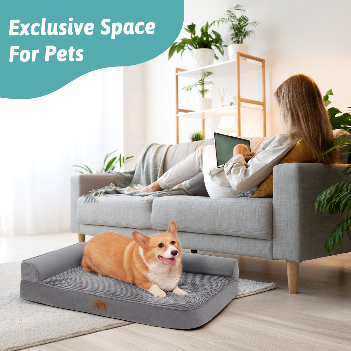Dog relaxing on a Cozy Kiss grey orthopedic dog bed beside its owner on the sofa, an exclusive space for pets