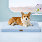 Front view of corgi lying on a blue dog bed with a scenic window in the background